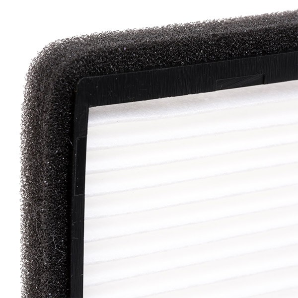 424I0254 AC filter RIDEX 424I0254 review and test