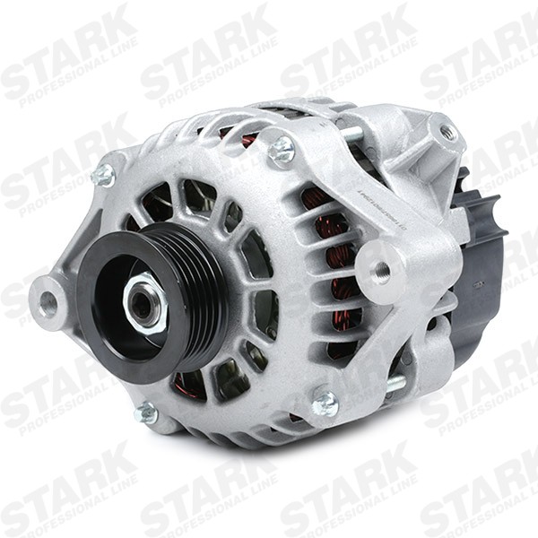 SKGN0320012 Generator STARK SKGN-0320012 review and test