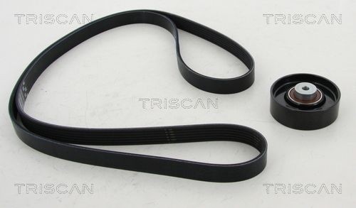 TRISCAN Serpentine belt kit 8642 23005 buy
