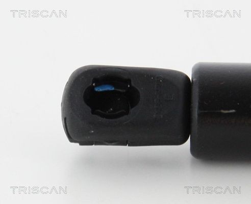 871016270 Boot gas struts TRISCAN 8710 16270 review and test