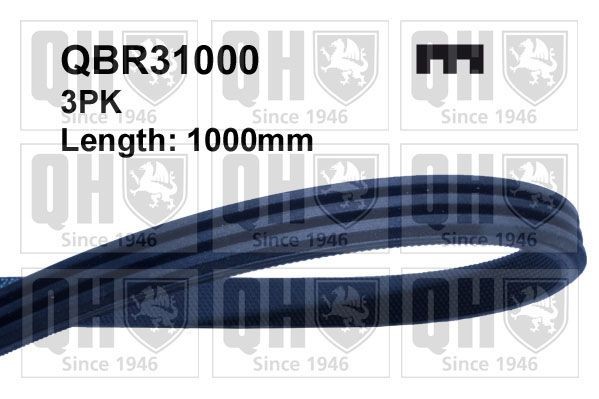 3PK997 QUINTON HAZELL 1000mm, 3 Number of ribs: 3, Length: 1000mm Alternator belt QBR31000 buy