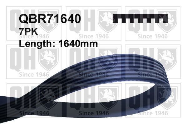 7PK1637 QUINTON HAZELL 1640mm, 7 Number of ribs: 7, Length: 1640mm Alternator belt QBR71640 buy