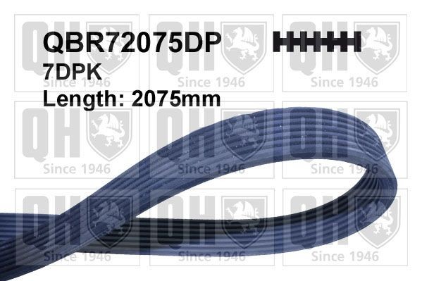 7PK2072 DP QUINTON HAZELL 2075mm, 7 Number of ribs: 7, Length: 2075mm Alternator belt QBR72075DP buy