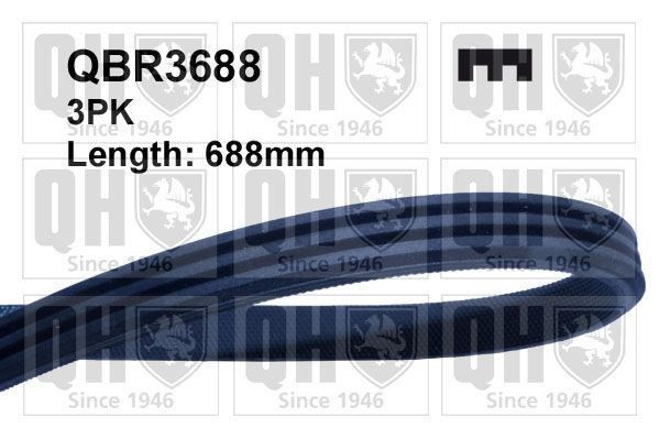 3PK685 QUINTON HAZELL 688mm, 3 Number of ribs: 3, Length: 688mm Alternator belt QBR3688 buy