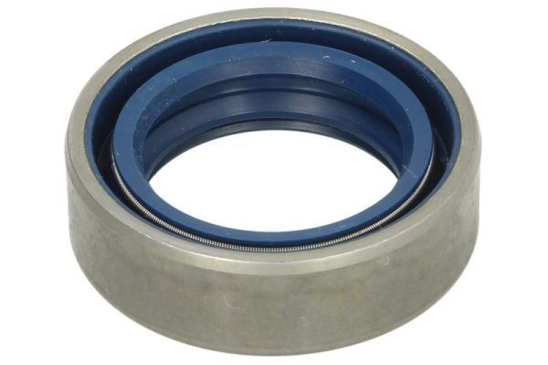 BTA Shaft Seal, wheel hub B06-2079 buy