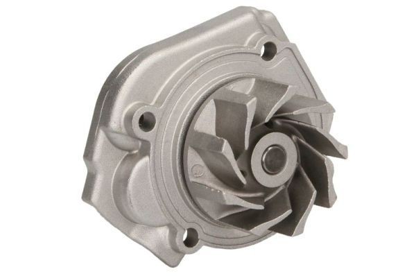 Great value for money - THERMOTEC Water pump D1F076TT