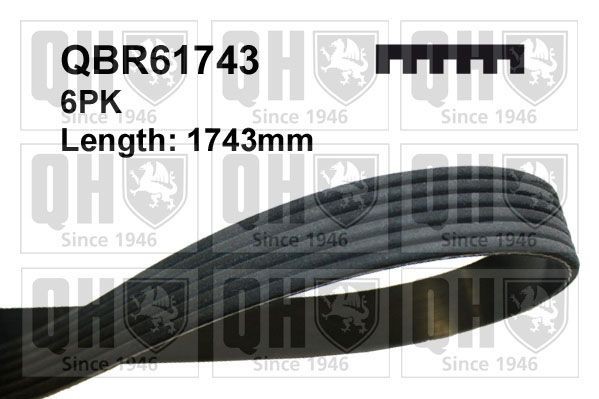 6PK1740 QUINTON HAZELL QBR61743 Auxiliary belt Ford Mondeo Mk4 Facelift 2.2 TDCi 200 hp Diesel 2010 price