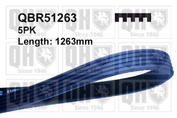 5PK1260 QUINTON HAZELL 1263mm, 5 Number of ribs: 5, Length: 1263mm Alternator belt QBR51263 buy