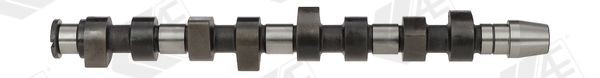 AE Camshaft CAM670 Volkswagen POLO 1999
