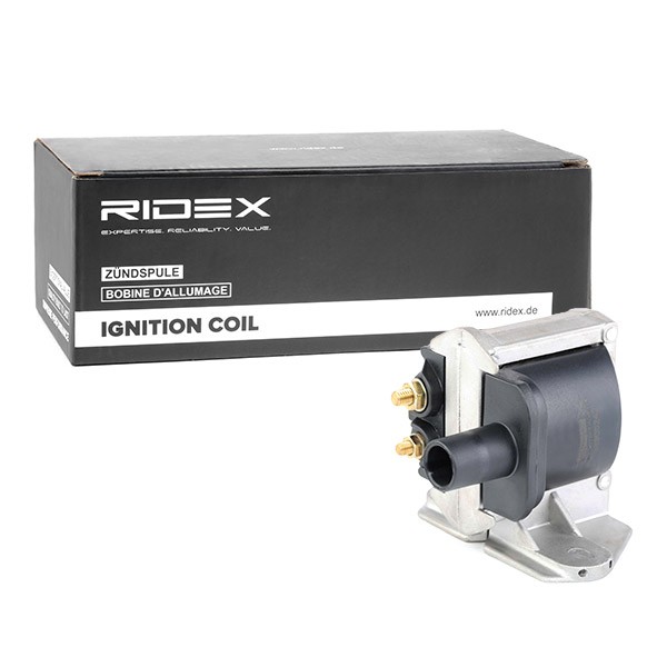 RIDEX Coil packs 689C0242