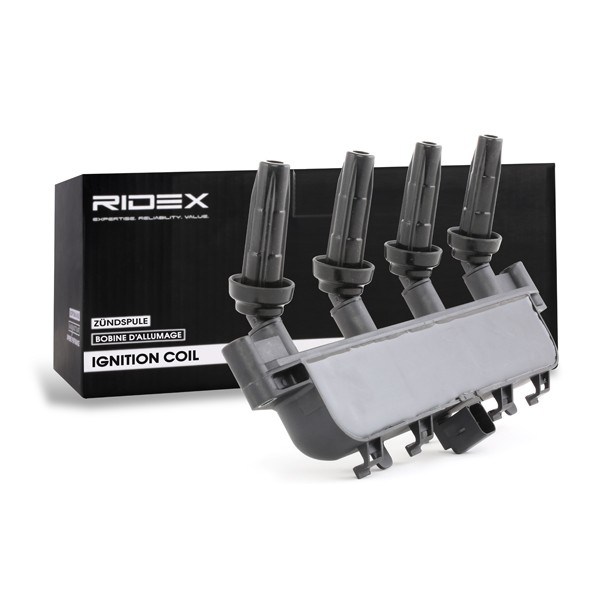RIDEX Coil packs 689C0091