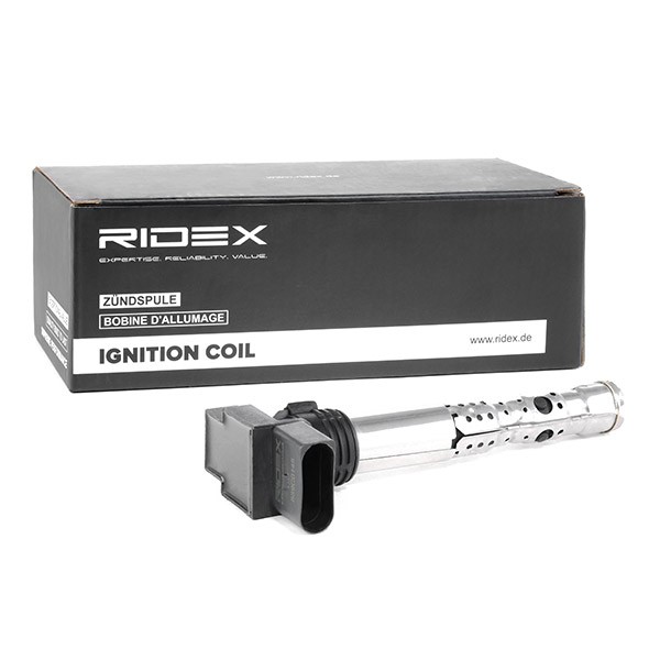 RIDEX Coil packs 689C0145