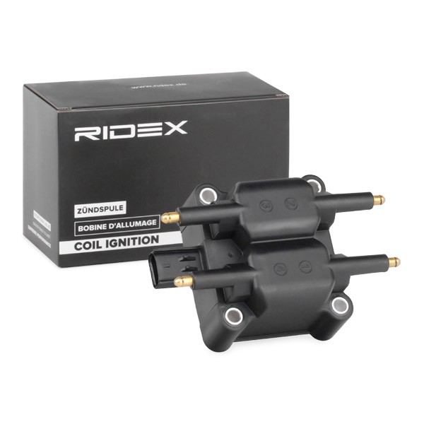 RIDEX Coil packs 689C0240