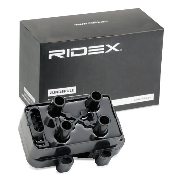 RIDEX Coil packs 689C0232