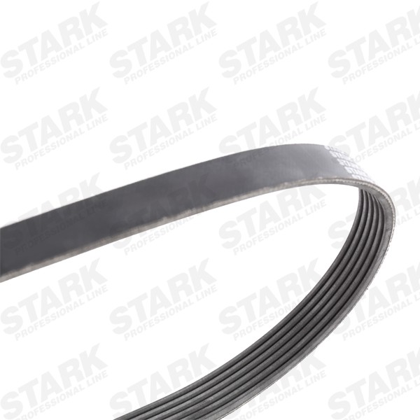 SKRBS-1200004 Serpentine belt kit SKRBS-1200004 STARK