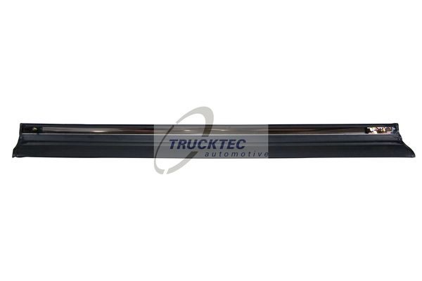 TRUCKTEC AUTOMOTIVE 02.52.109 Door molding MERCEDES-BENZ experience and price