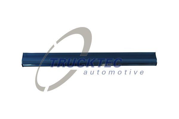 TRUCKTEC AUTOMOTIVE Trim / protective strip, door 02.52.111 buy