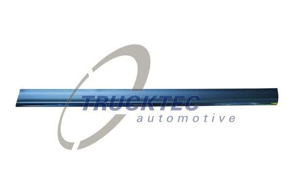 TRUCKTEC AUTOMOTIVE 02.52.134 Door molding MERCEDES-BENZ experience and price