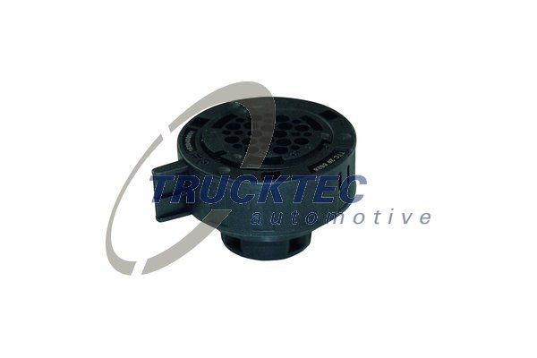 TRUCKTEC AUTOMOTIVE 08.25.033 Plug Housing, automatic transmission control unit CHRYSLER experience and price