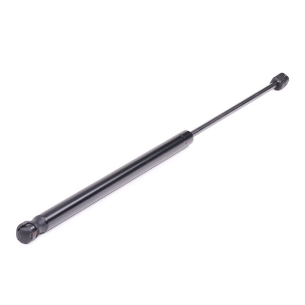 RIDEX Gas struts 219G0200 for FORD FOCUS