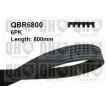 QBR6800 Cinghia poly-v Ford FOCUS 1.6TDCi 109 CV 80 kW 2012 DB_, FCH, DH