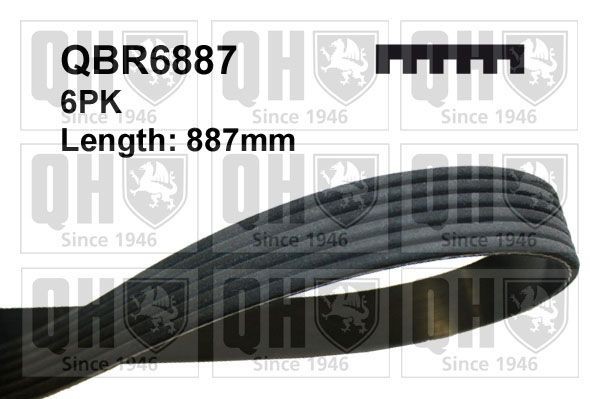 6PK884 QUINTON HAZELL 887mm, 6 Number of ribs: 6, Length: 887mm Alternator belt QBR6887 buy