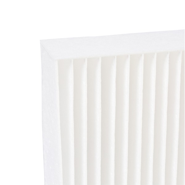 424I0303 AC filter RIDEX 424I0303 review and test