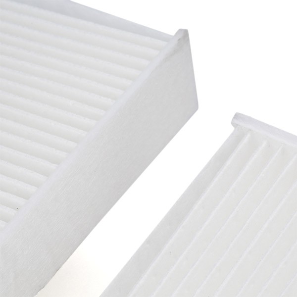 424I0287 Air con filter 424I0287 RIDEX Particulate Filter, 245 mm x 207 mm x 30 mm