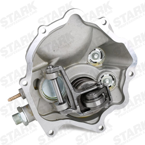SKVP1350005 Tandem pump STARK SKVP-1350005 review and test