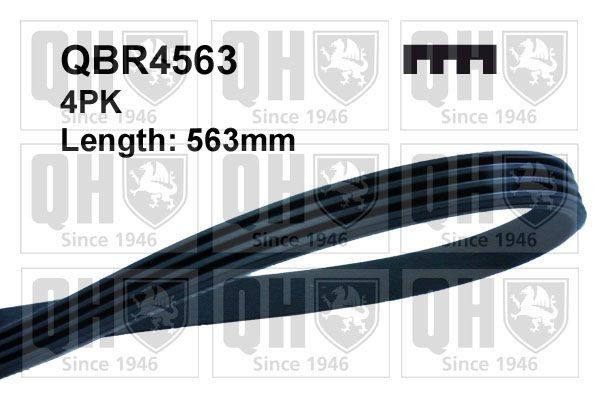 4PK560 QUINTON HAZELL 563mm, 4 Number of ribs: 4, Length: 563mm Alternator belt QBR4563 buy