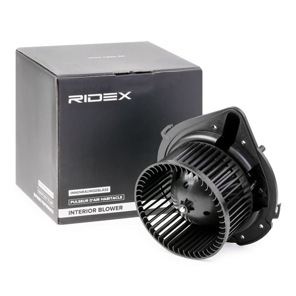RIDEX Heater motor 2669I0019