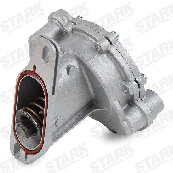 SKVP1350020 Tandem pump STARK SKVP-1350020 review and test