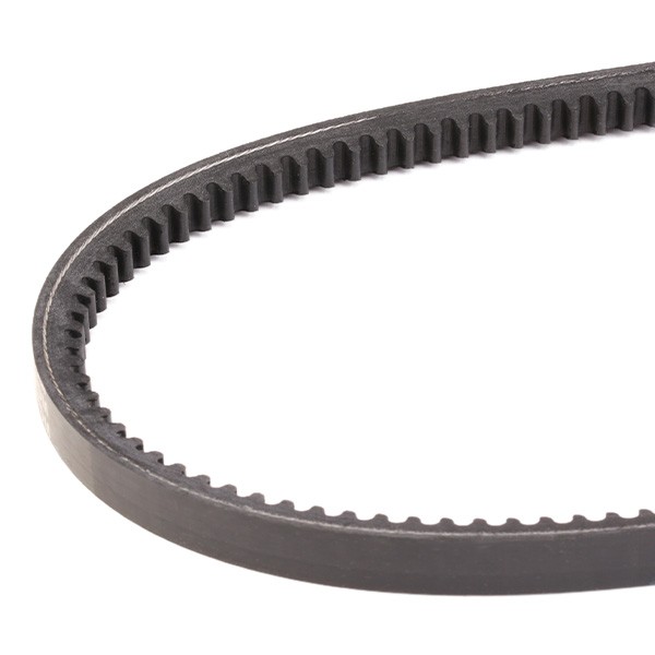 10C0041 V-Belt RIDEX 10C0041 review and test