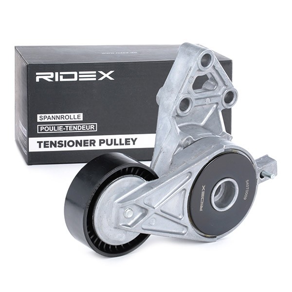 RIDEX 540T0009 Deflection / Guide Pulley, v-ribbed belt 06A 903 315 E