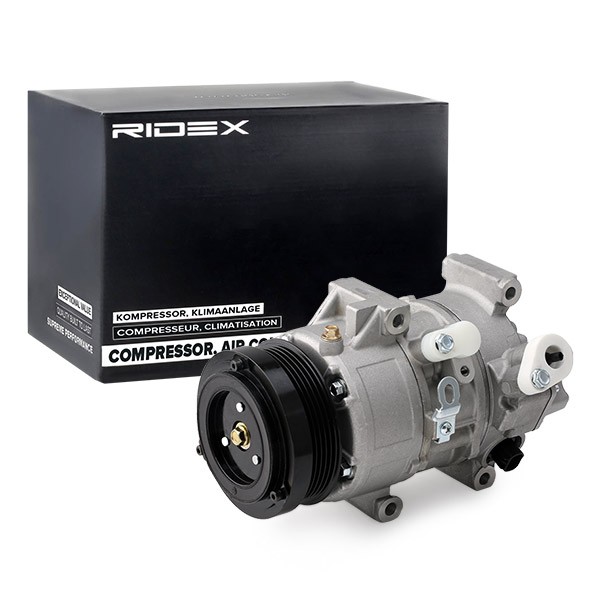 RIDEX 5SE12C, PAG 46, R 134a, with seal ring Belt Pulley Ø: 100mm AC compressor 447K0047 buy