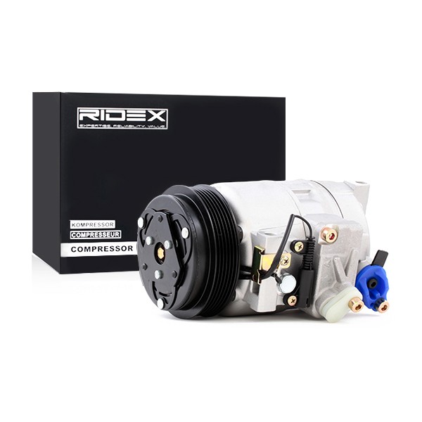 RIDEX 7SBU16C, PAG 46, R 134a Belt Pulley Ø: 119mm, Number of grooves: 6 AC compressor 447K0087 buy