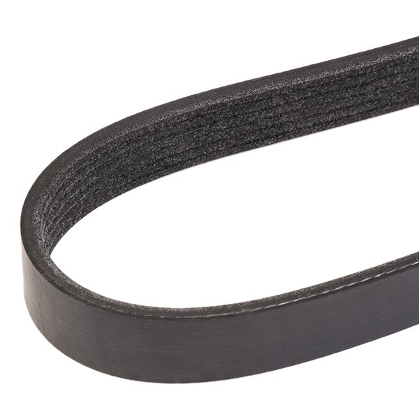 305P0064 Auxiliary belt RIDEX 305P0064 review and test