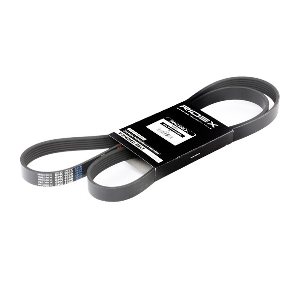 Buy Serpentine belt RIDEX 305P0079 - Belts, chains, rollers parts RENAULT ESPACE online