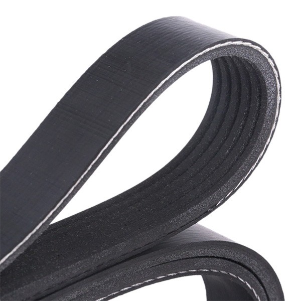 RIDEX 305P0083 Aux belt 1740mm, 6, Polyester, EPDM (ethylene propylene diene Monomer (M-class) rubber)