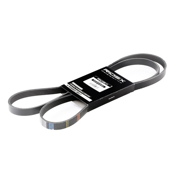 Buy Serpentine belt RIDEX 305P0043 - Belt and chain drive parts Renault Megane 1 Convertible online