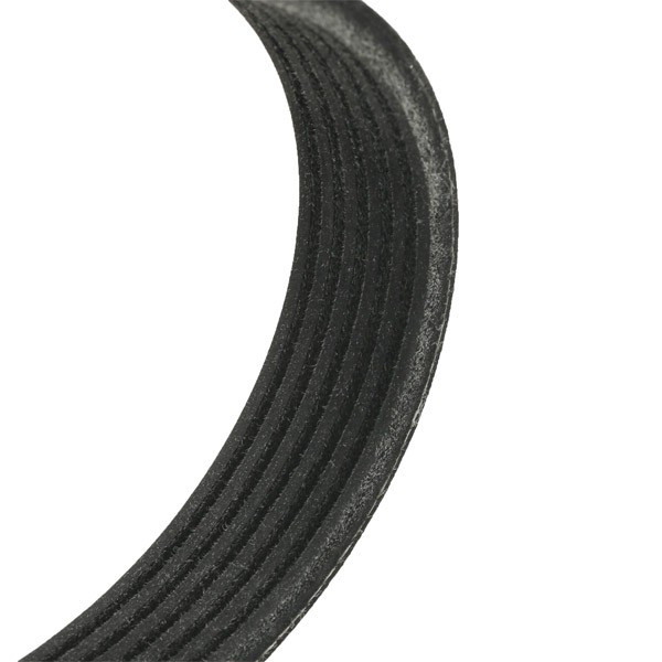 RIDEX 305P0100 Aux belt 2255mm, 6, EPDM (ethylene propylene diene Monomer (M-class) rubber), Polyester