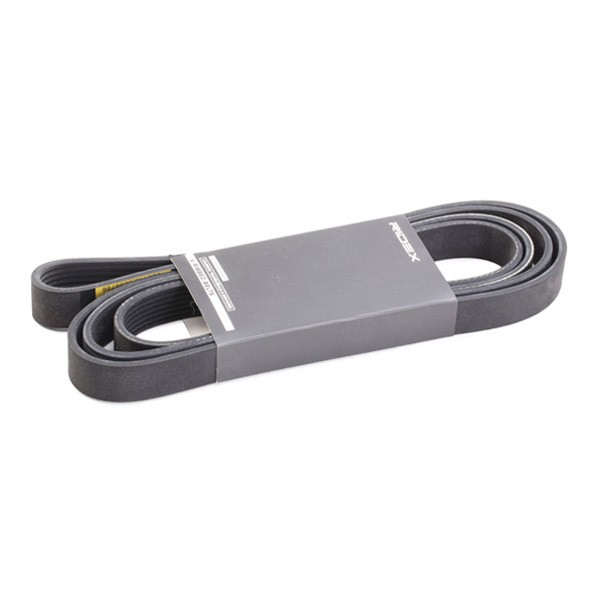 RIDEX Drive belt 305P0109