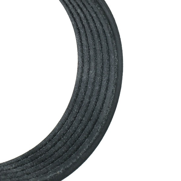 RIDEX 305P0048 Aux belt 900mm, 6