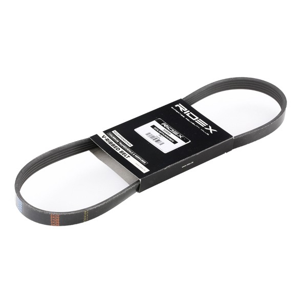 Buy Serpentine belt RIDEX 305P0172 - Belts, chains, rollers parts Ford Mondeo BFP online