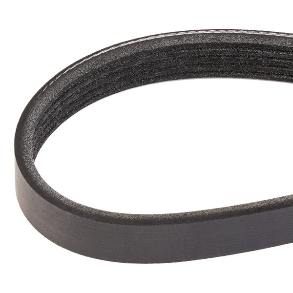 305P0176 Auxiliary belt RIDEX 305P0176 review and test
