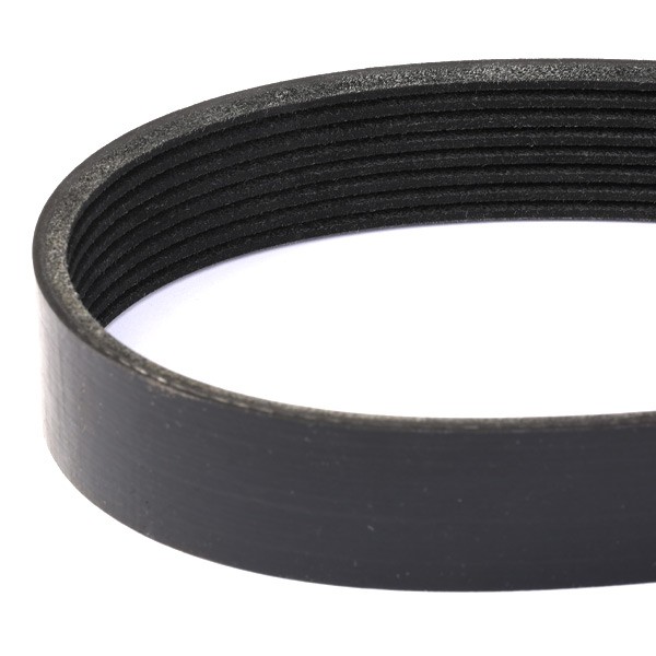305P0319 Auxiliary belt RIDEX 305P0319 review and test