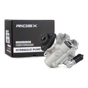 Ridex 12H0100 Pompe hydraulique Guidon 