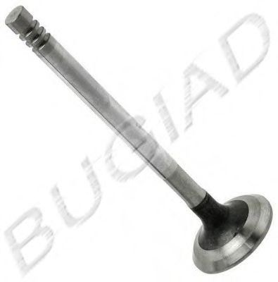 BUGIAD Outlet valve BSP21338 buy