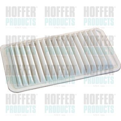 HOFFER 18381 Air filter 17801-B2010