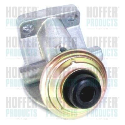 HOFFER Injection System 8029022 buy